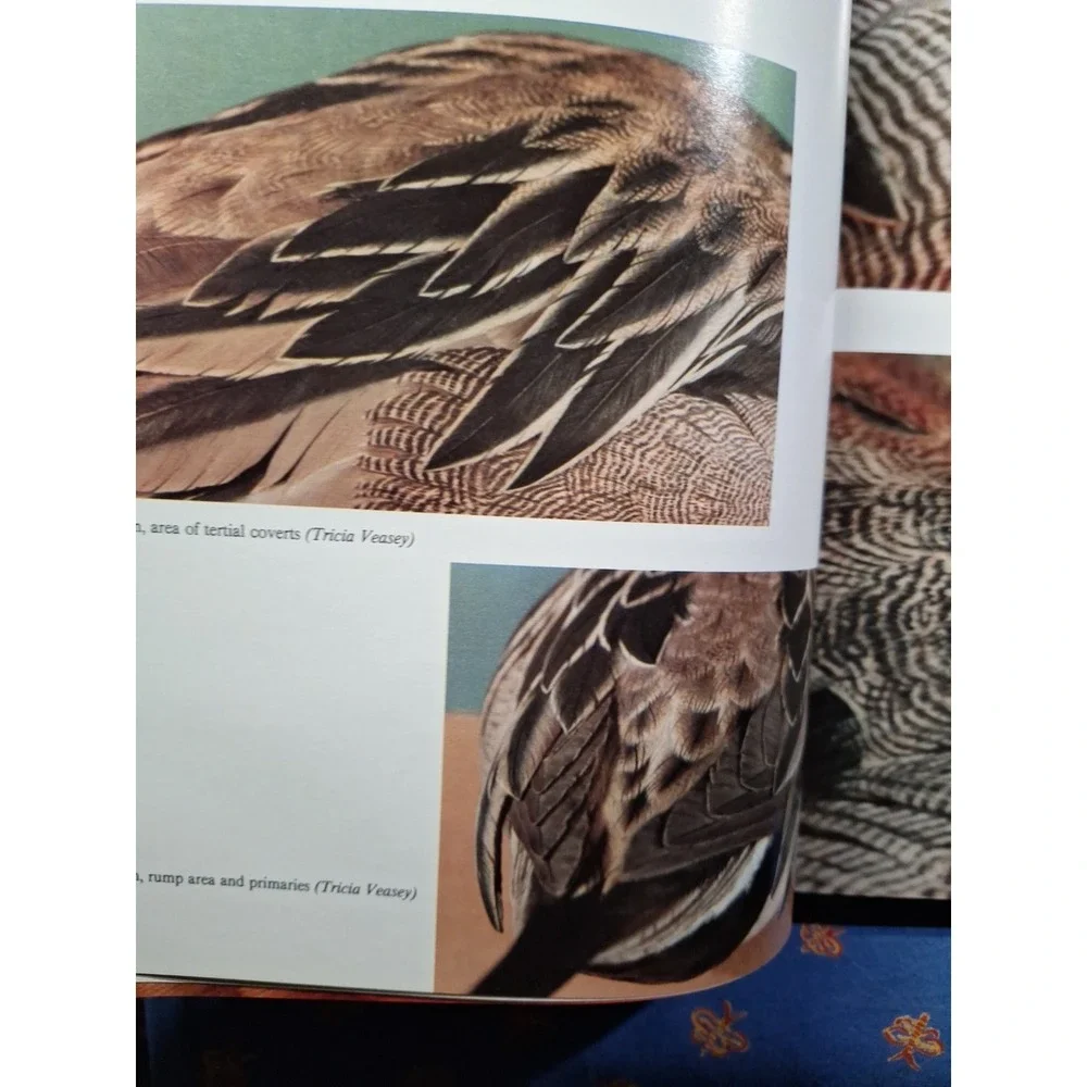 Championship Carving, Hardcover by Veasey, Tricia; Johnson, Tom, Like New‎
